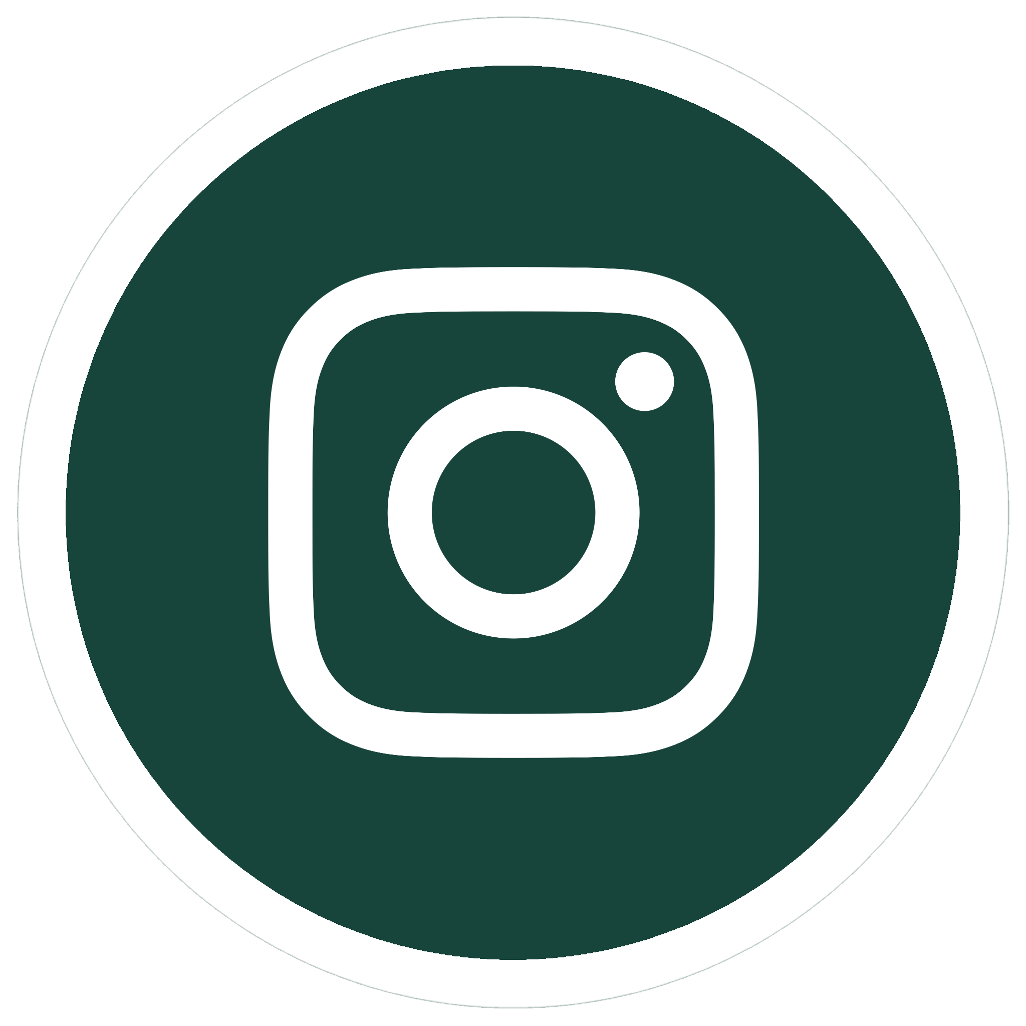 Instagram icon